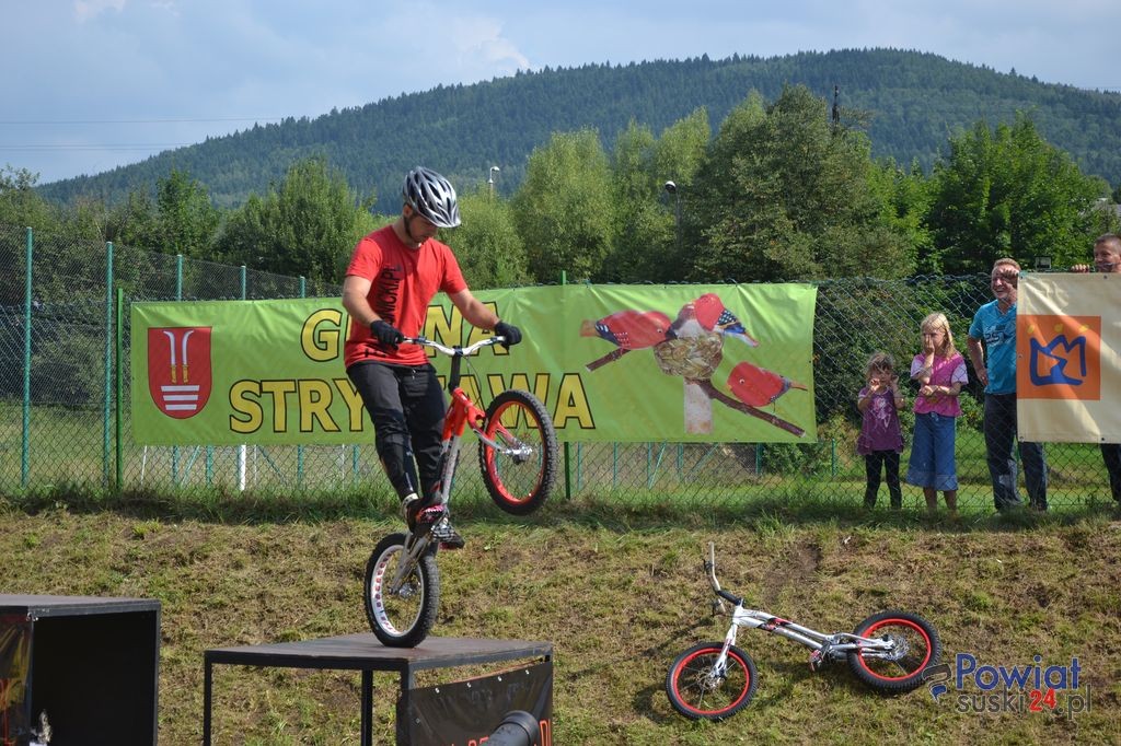 dsc_0520